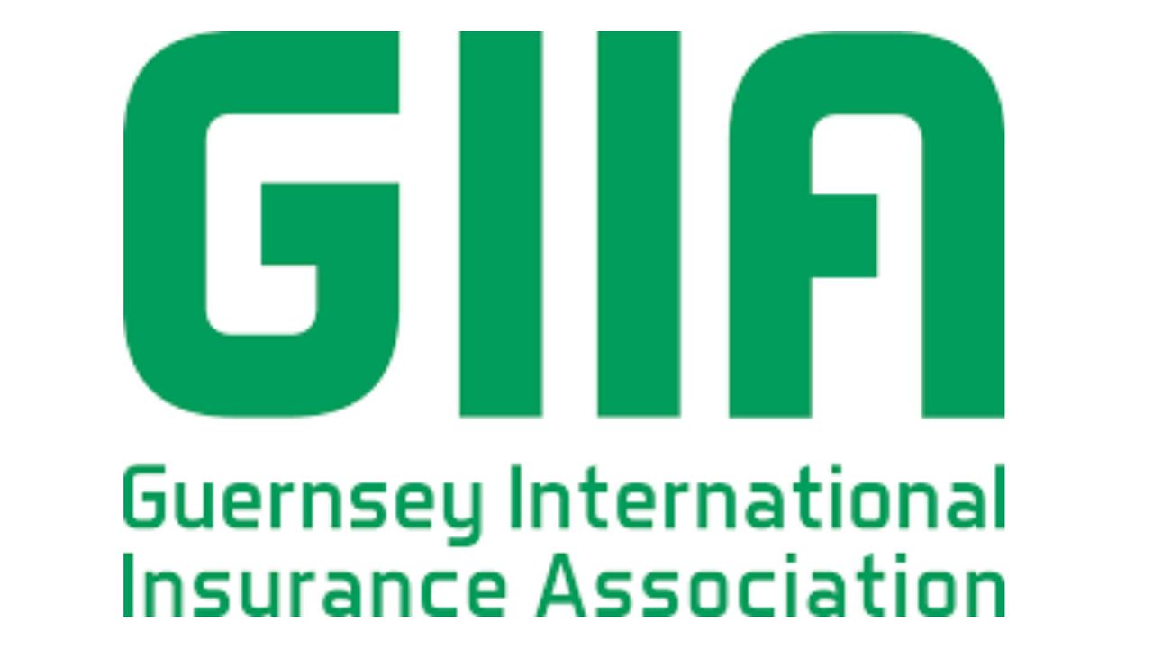 New chair appointed at GIIA | Captive International